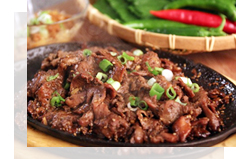 Bulgogi